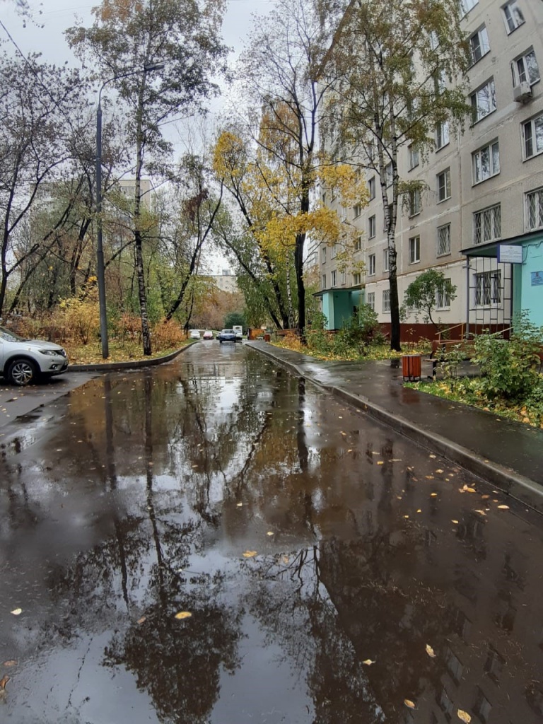 13.jpg 13.jpg